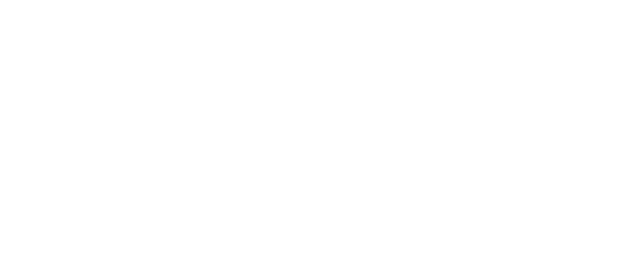 Fastn Logo
